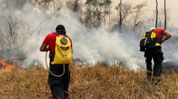 Presidente do Ibama destaca ação humana nas queimadas e revela detenções em investigações; seca histórica e desmatamento agravam situação na região