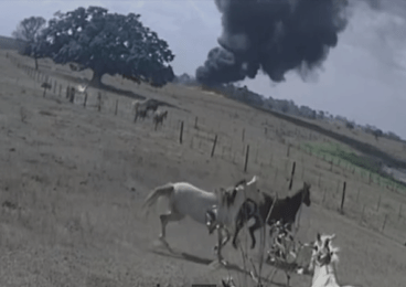 Avião caiu na zona rural de Birigui, no interior de São Paulo