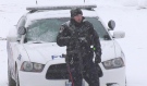 After responding to a weapons complaint Feb. 5 on Reginald Street, Greater Sudbury Police found a man wanted on several arrest warrants, a replica firearm and multiple homemade bombs. (Jaime McKee/CTV News)