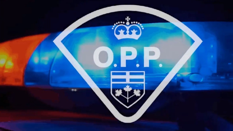 An OPP logo is seen in this file photo.