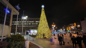 The Christmas Tree outside of Winnipeg City Hall is lit up on Nov. 14, 2024. (Jamie Dowsett/CTV News Winnipeg)