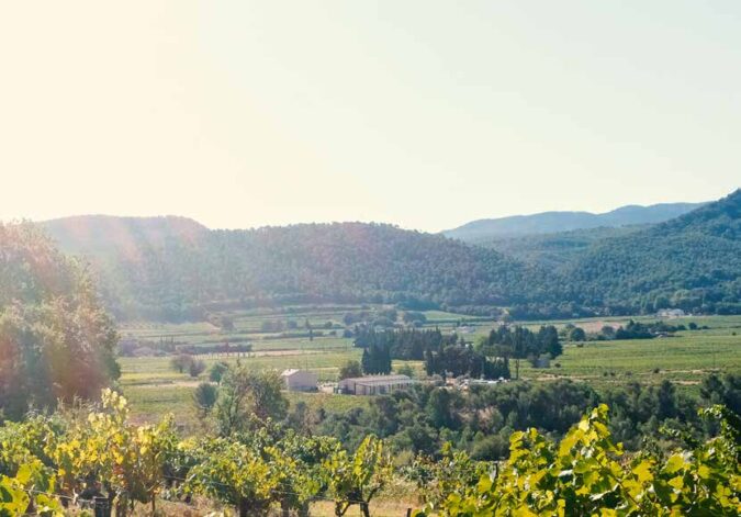 Südfrankreich mit seinen tollen Weinen und lieben Leuten ist allemal eine Reise wert.