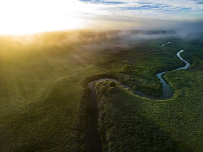 Ein wunderschöner Blick in das Oder-Delta