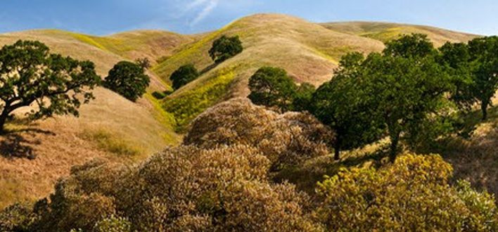 East Bay Regional Park District