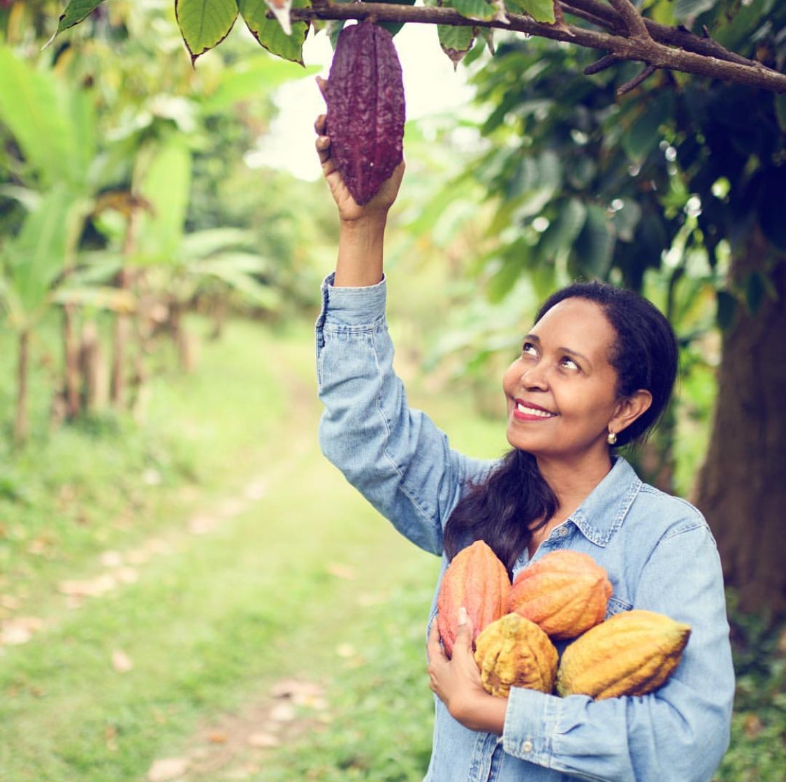 Going To Grenada For Carnival? Check Out This Black Woman–Owned Plantation