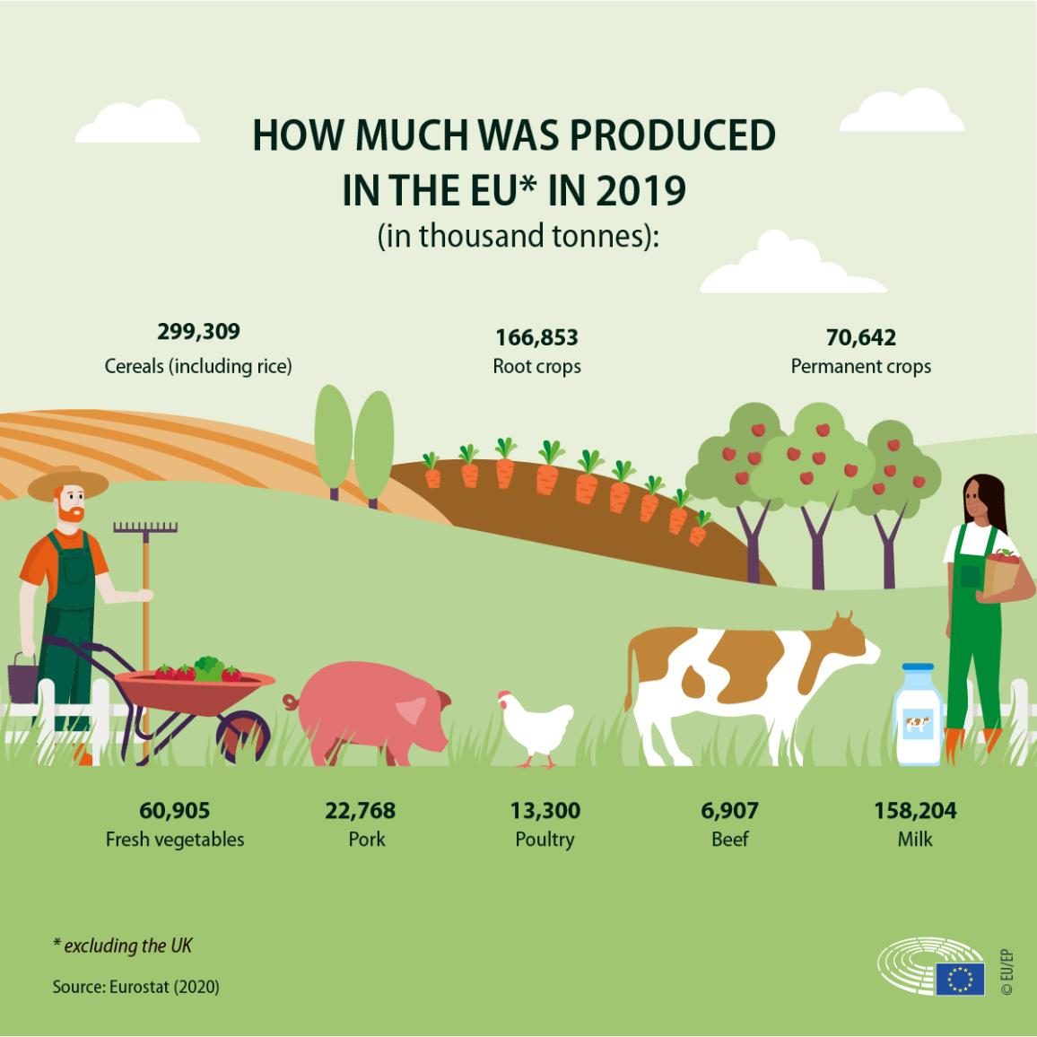 Infographic showing how many tonnes of different foods were produced in the EU in 2019. 