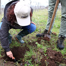 Soil Doctors