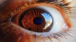 Glaucoma market to grow to $2.5 billion in seven major markets by 2033, reveals report