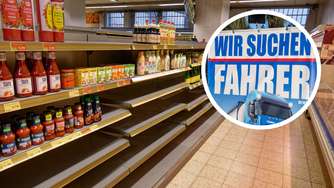 Leere Supermarktregale: 120.000 Fahrer fehlen – aber Strategie der Ampel hilft nicht