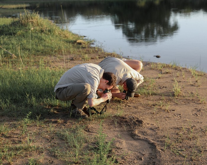 The author inspects a three-banded plover’s eggs