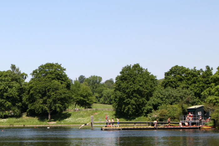 The wonderful Highgate Men’s bathing pond on Hampstead Heath