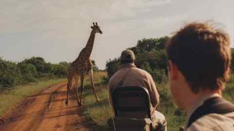 Fergus Scholes on safari with andBeyond in South Africa