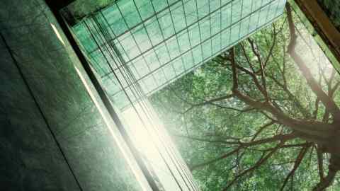 Abstract urban scene showing the underside of a green-tinted glass building facade with reflections of lush green trees and a glimpse of the sky through the overlapping branches