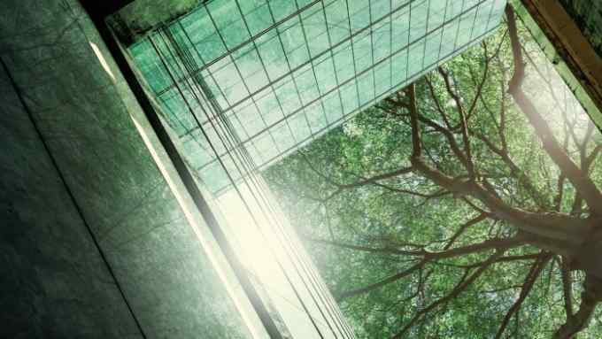Abstract urban scene showing the underside of a green-tinted glass building facade with reflections of lush green trees and a glimpse of the sky through the overlapping branches