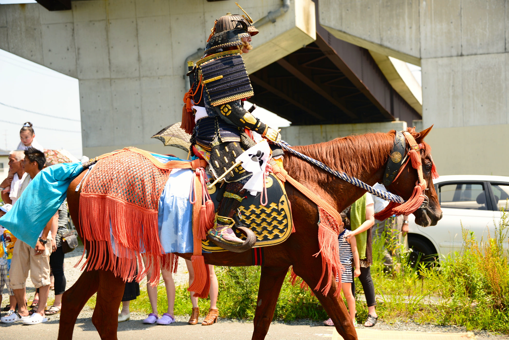 化学・生物学による邪馬台国時代の解明