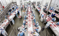 Mapa announces 19 new approvals for Brazilian meat processing plants to export to South Africa