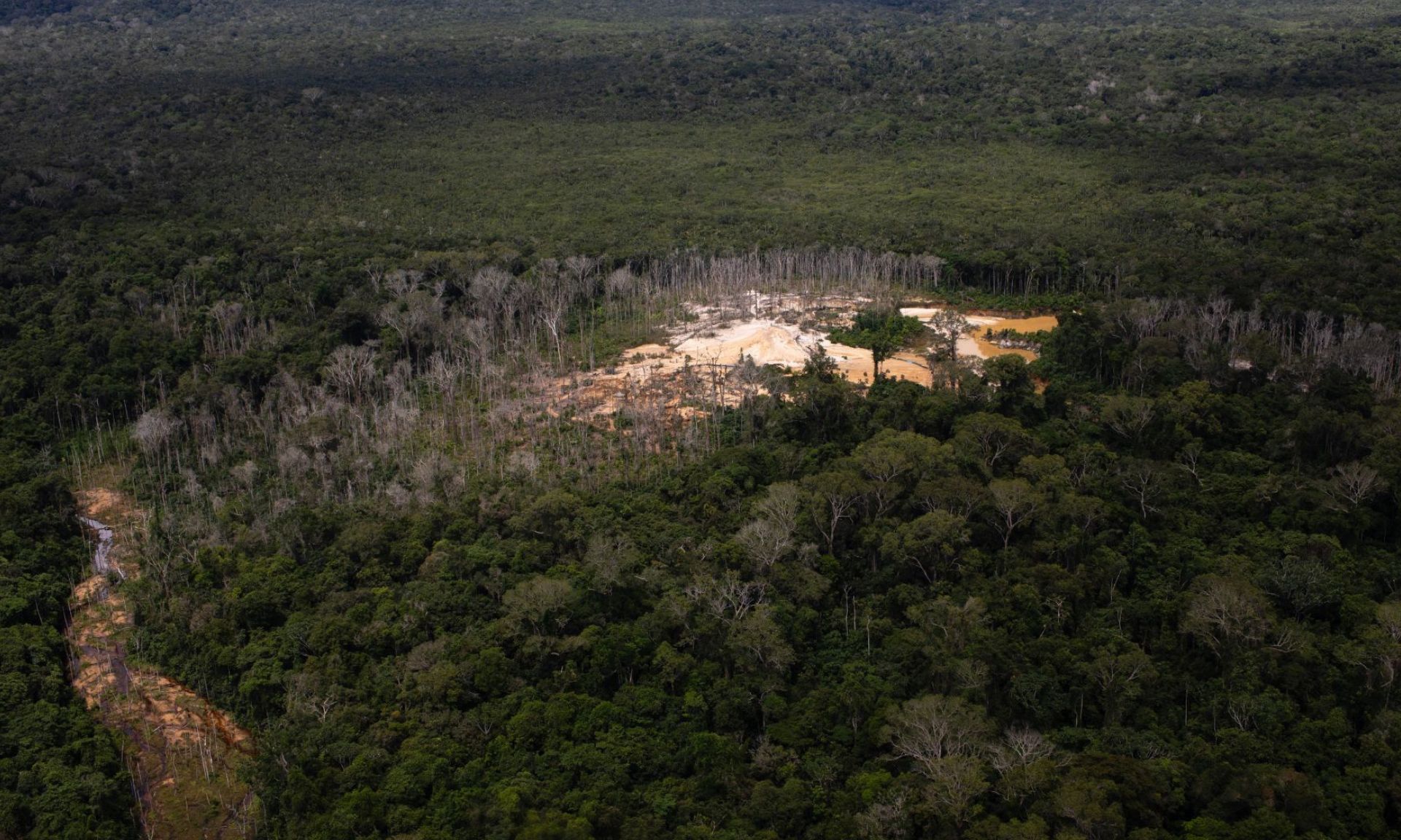 Impacto significativo das ações governamentais resulta em drástica diminuição de novas áreas de garimpo na região, com queda de mais de 800 hectares