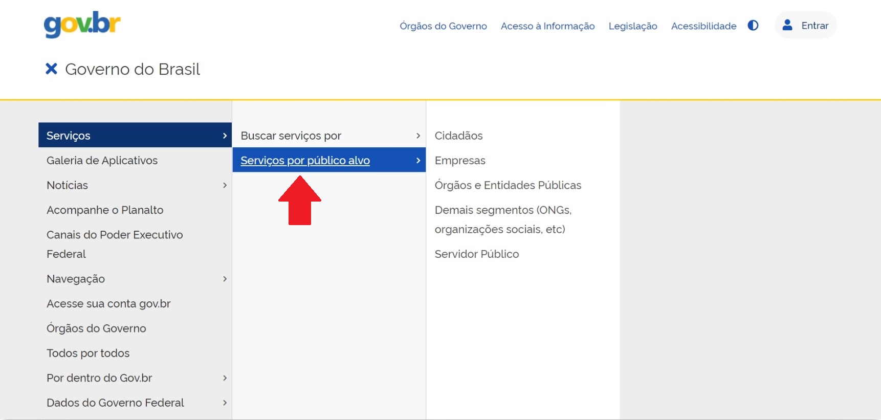 Subitem serviços por público alvo