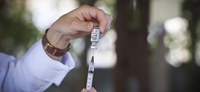 Maior campanha da história: Ministério da Saúde já distribuiu mais de 380 milhões de vacinas Covid-19 pra todo país