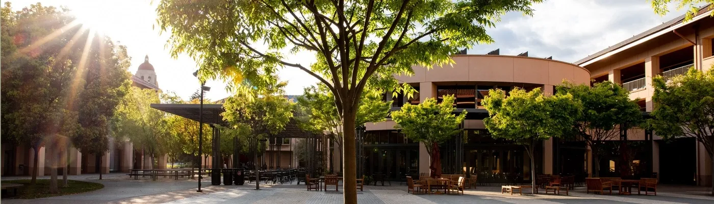 Sunshine shining through the trees over tables outside on campus