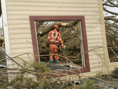 emergency worker in safety clothing cuts fallen trees with chainsaw (framed through fallen window)