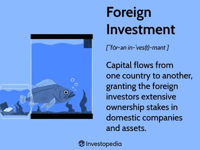 Foreign Investment: Capital flows from one country to another, granting the foreign investors extensive ownership stakes in domestic companies and assets.