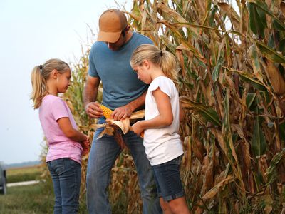 Farmer shows children an ear of corn from their corn field