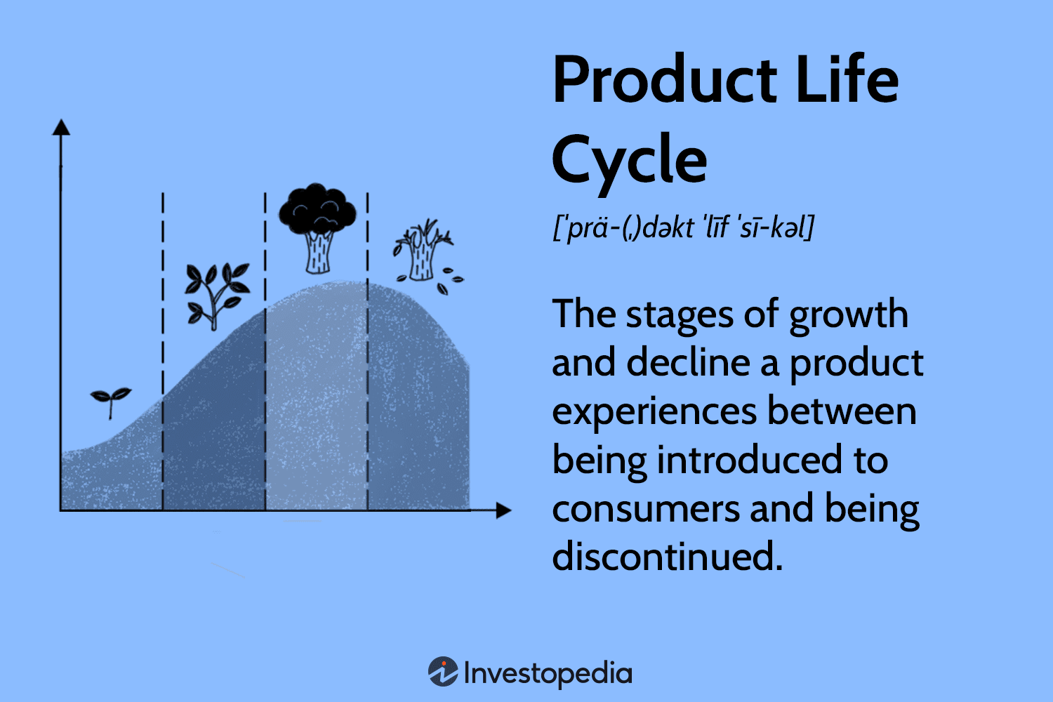 Product Life Cycle