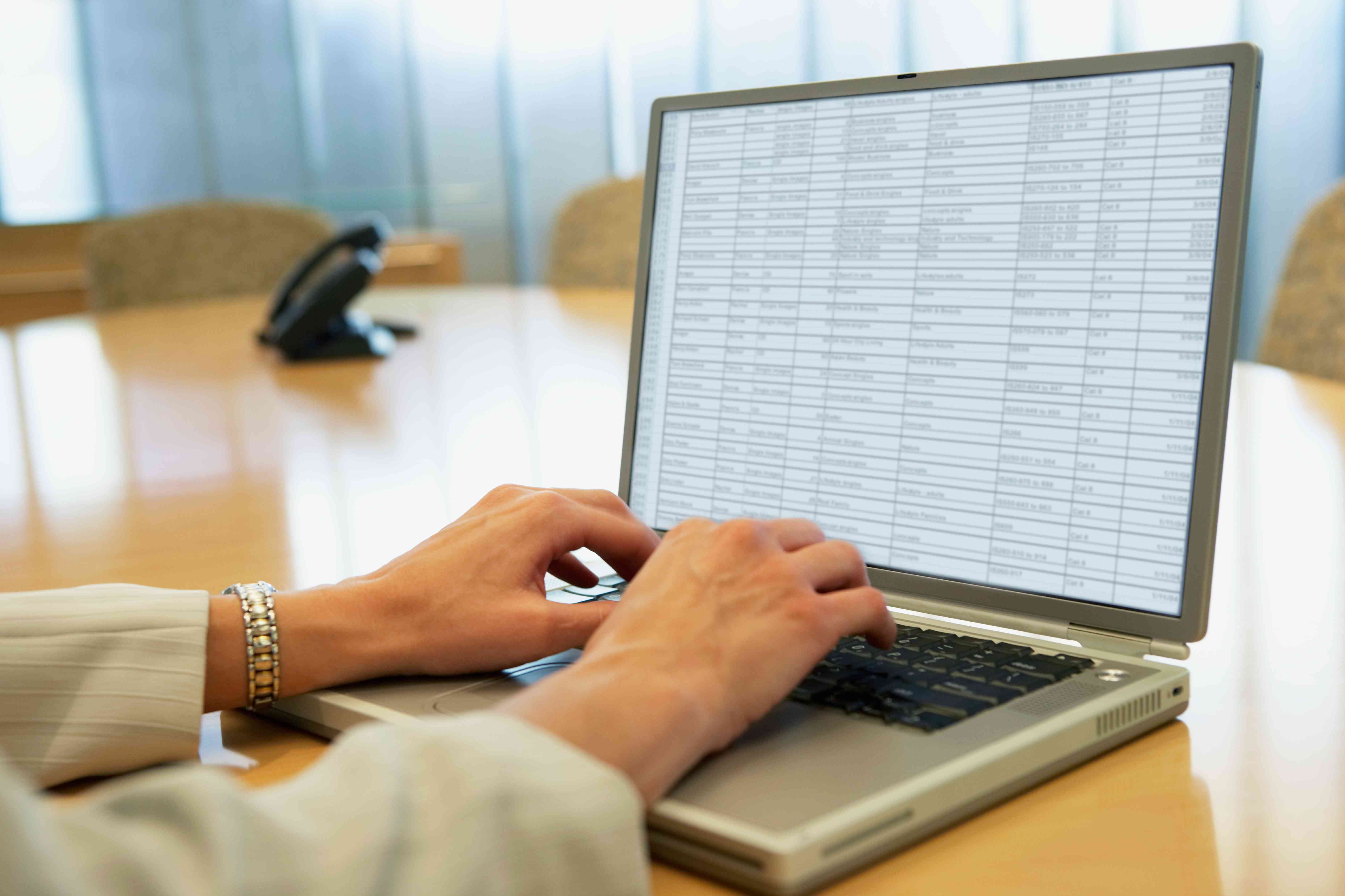 Computer showing Excel spreadsheet with hands on the keyboard.