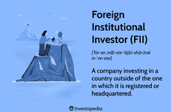 Foreign Institutional Investor (FII)