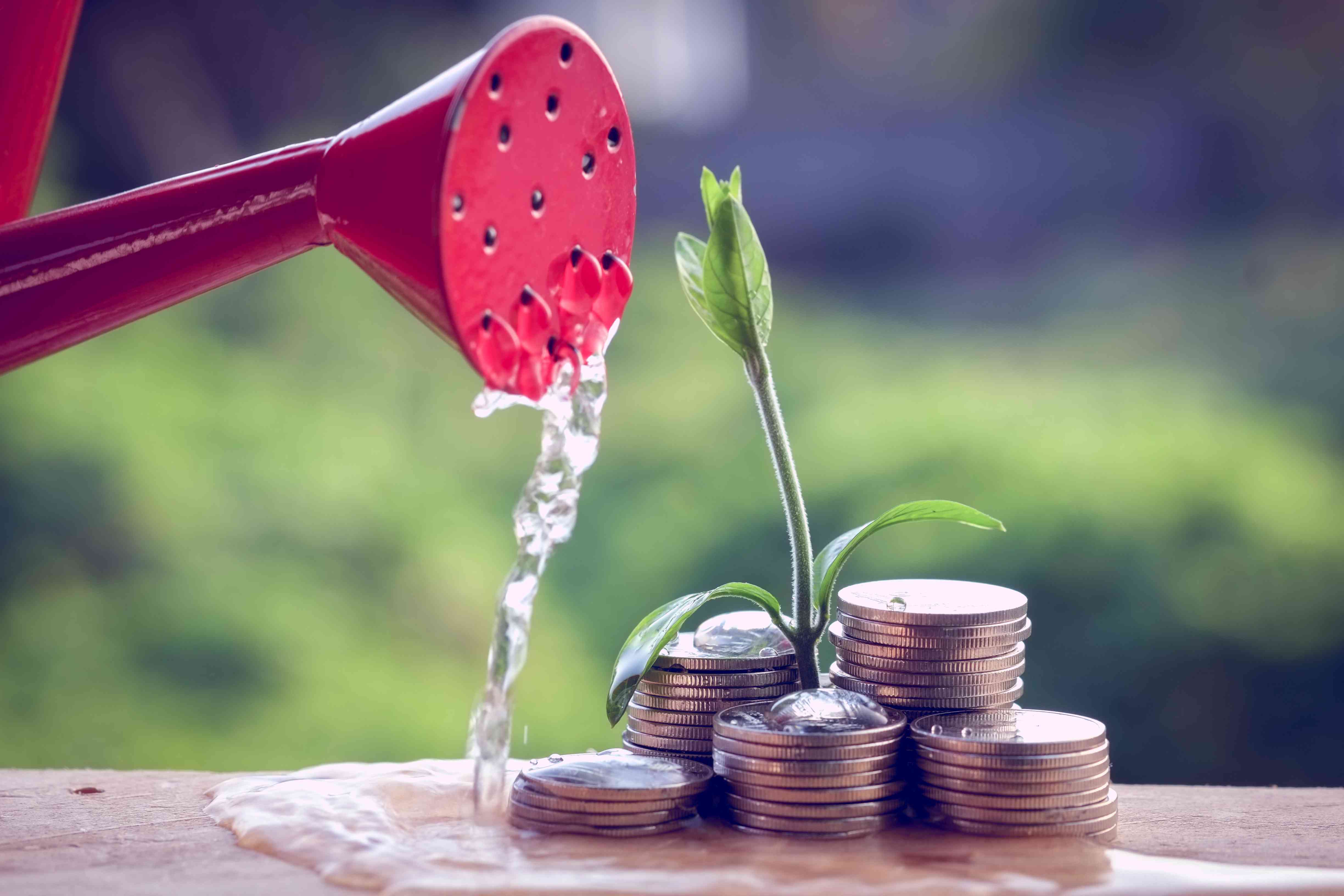 Money and plant with hand