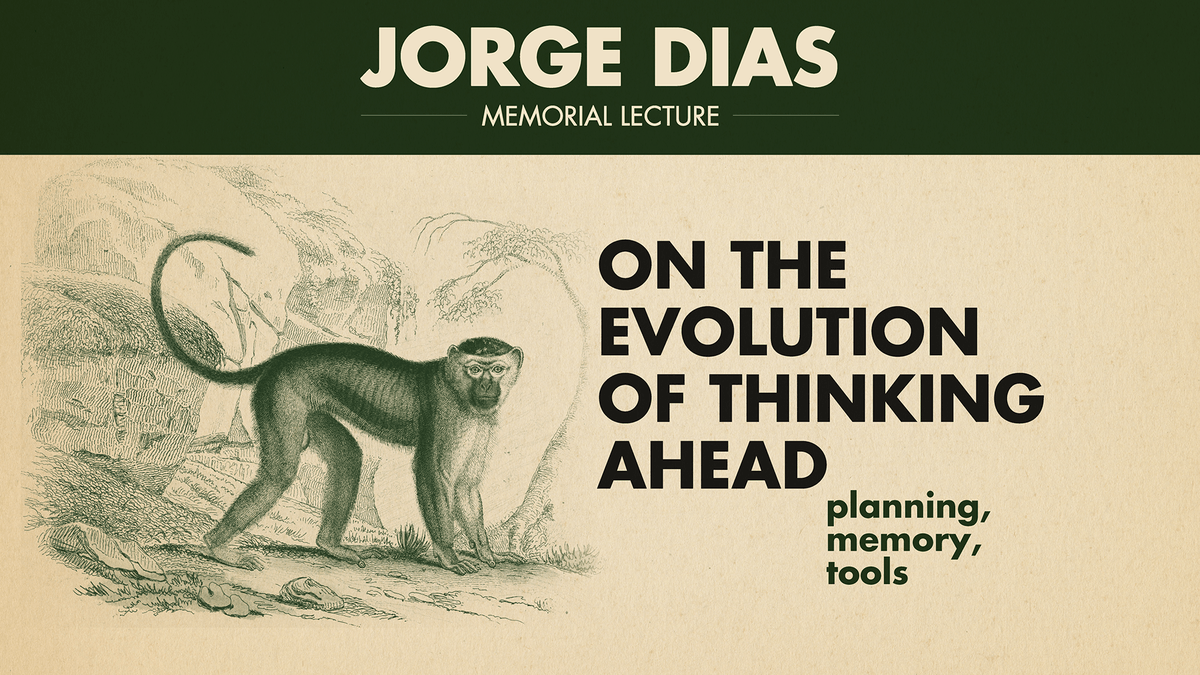 Jorge Dias Memorial Lecture 2022 reflete “On the evolution of thinking ahead”