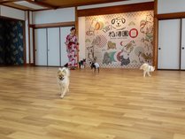 わんちゃんと泊まる温泉宿　皆生温泉　松涛園