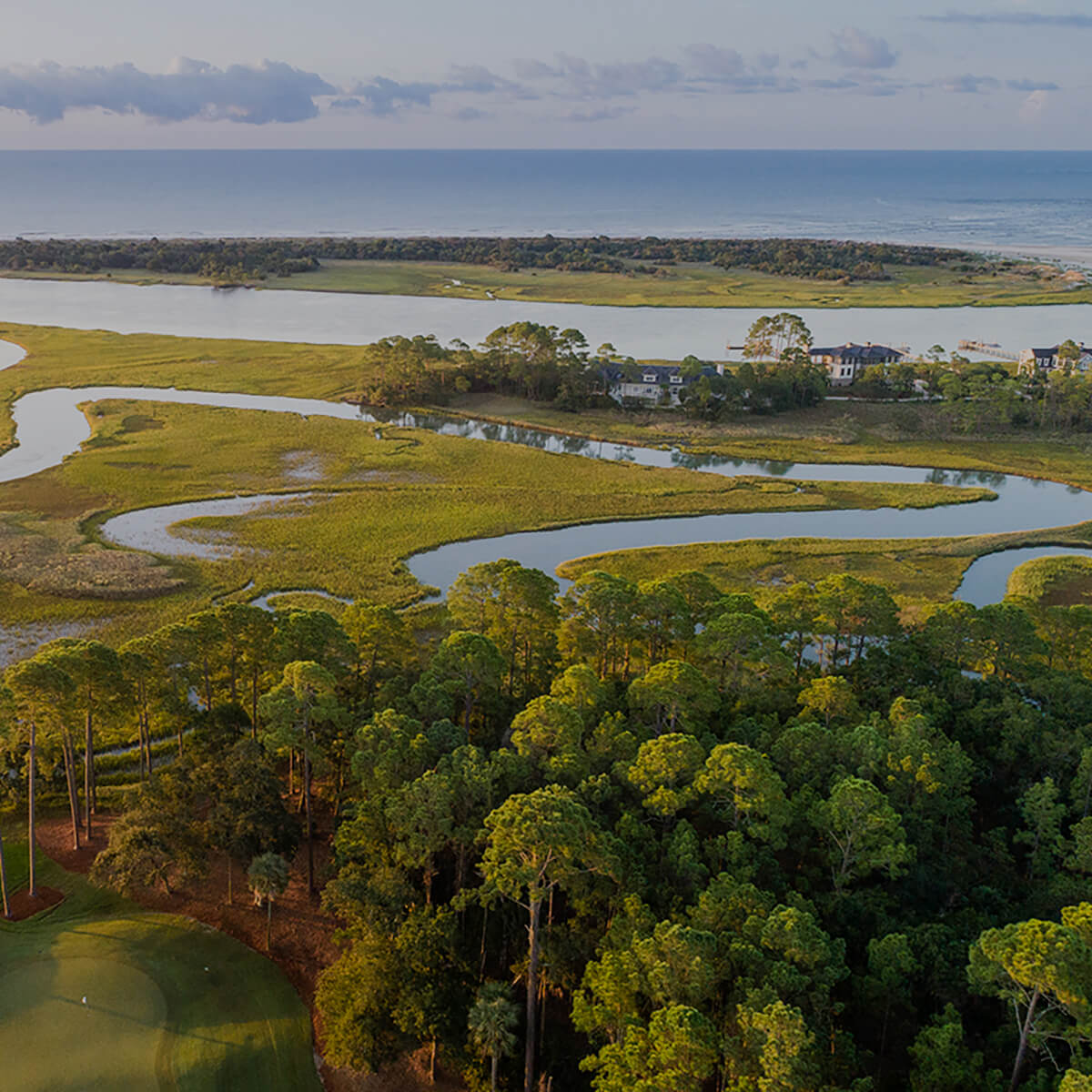 The Estuary