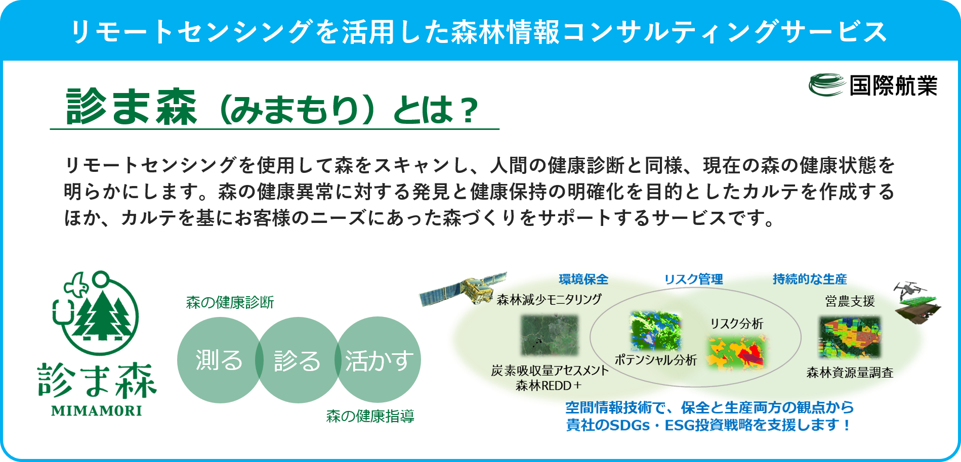 リモートセンシングを活用した森林情報コンサルティングサービス