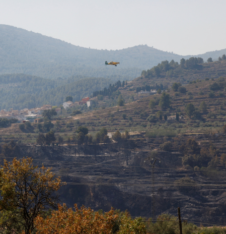 El incendio de Benasau se da por estabilizado y todos los desalojados regresan a sus casas