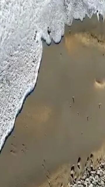 Las impresionante imágenes luego de que el mar en el sur del país se haya congelado. (Gentileza)