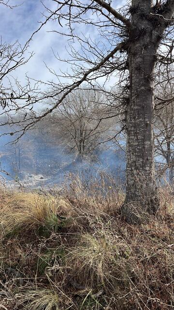 Incendio en Anisacate.