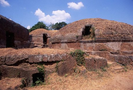 La vera origine degli Etruschi