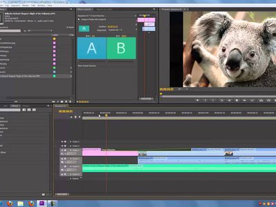 Premiere Pro CS6 screenshot