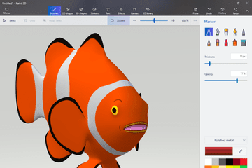 Paint 3D Clown Fish model