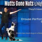 Mutts Gone Nuts Unleashed