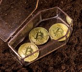 ビットコイン急落で大口投資家が逃亡、今後200万円割れも。テスラ株も共に転落か＝洞口勝人