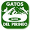 Gatos del Pirineo