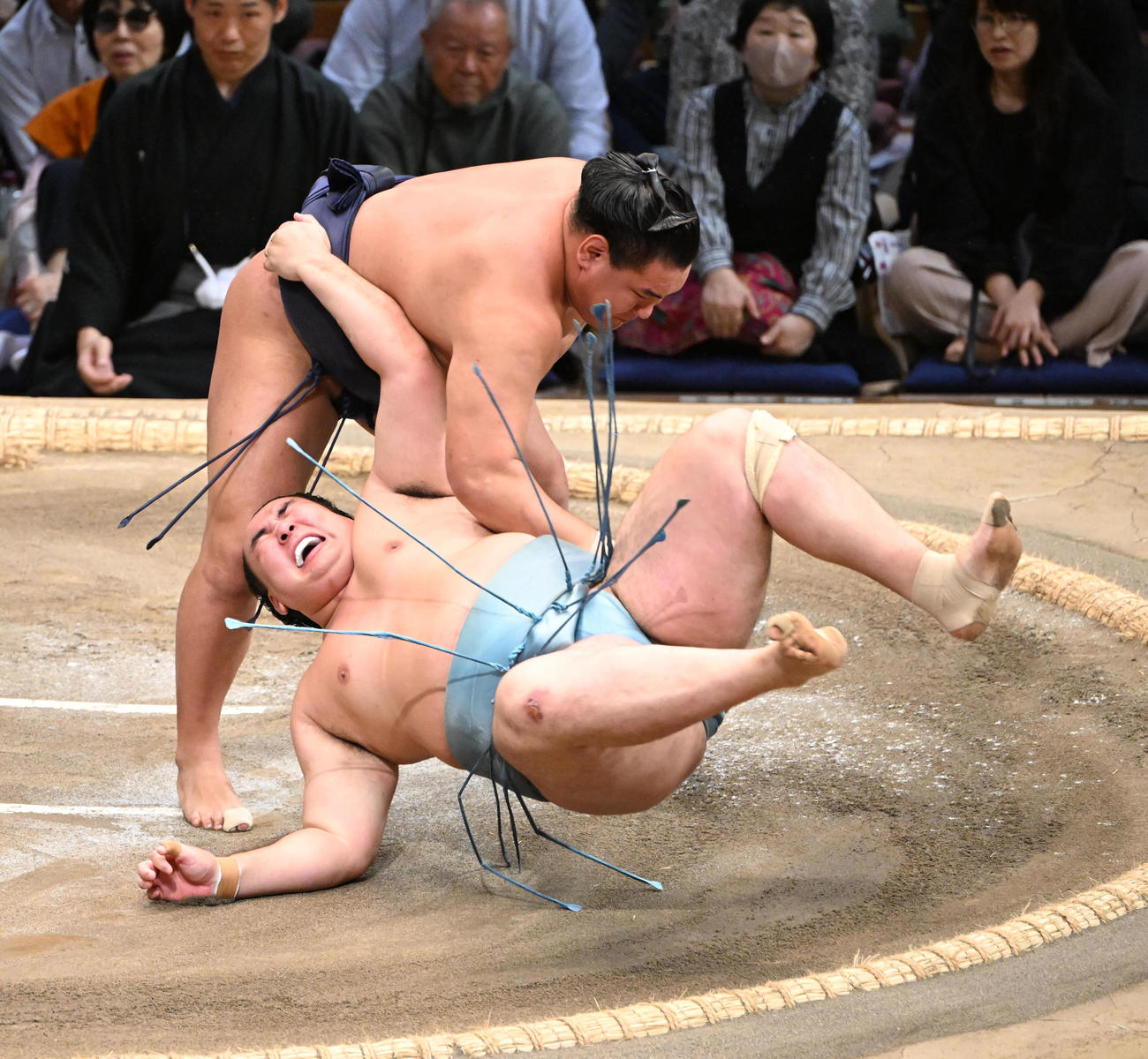 2024年11月、九州場所8日目に欧勝馬（手前）を上手投げで破る豊昇龍