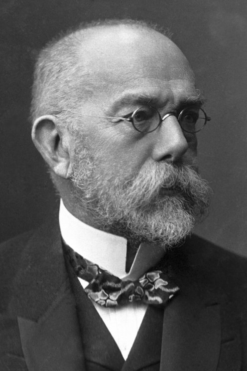 Robert Koch