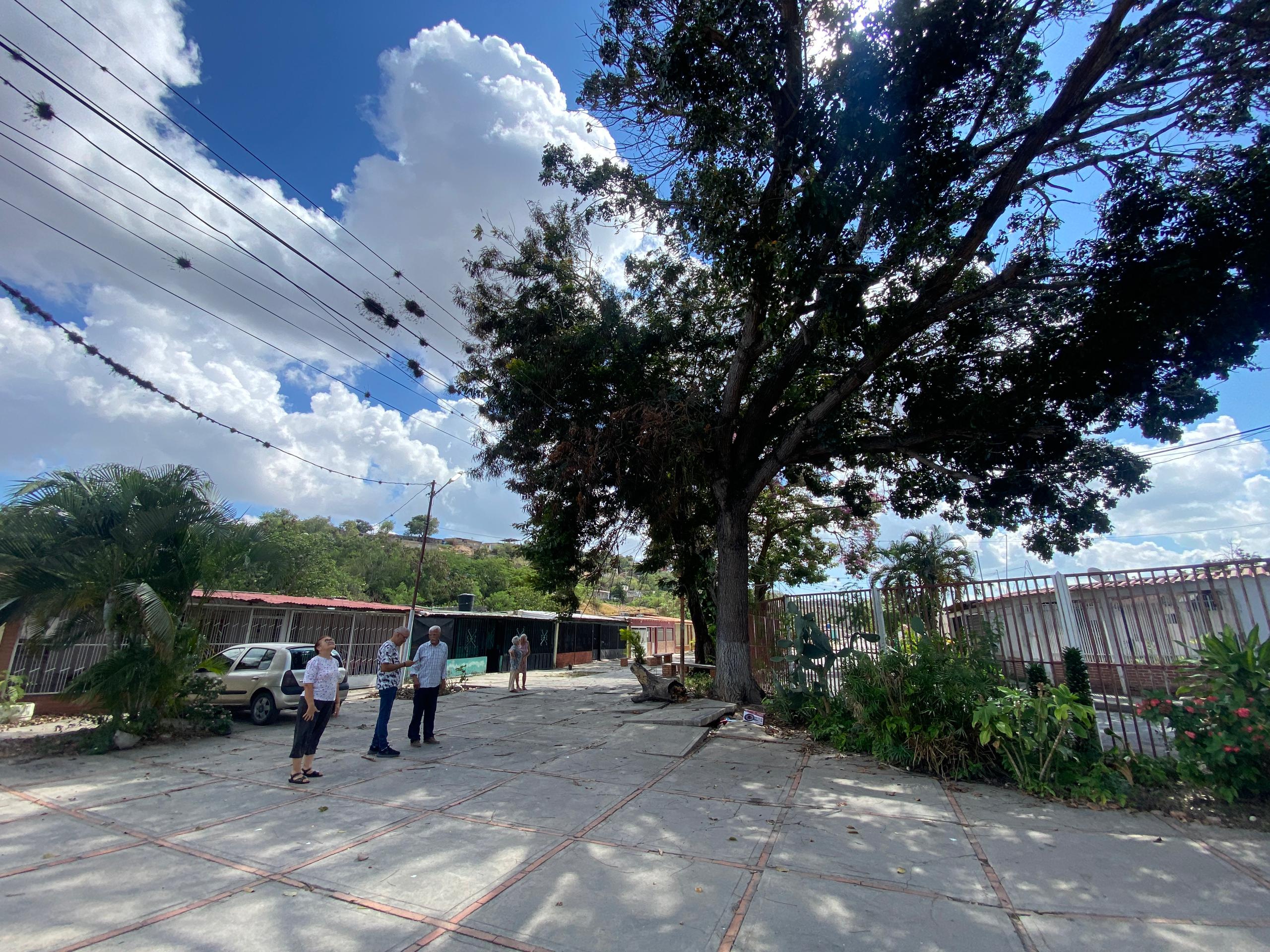 ¡Solución de raíz! Árboles causan estragos en la Ruezga Norte