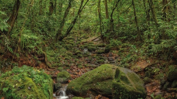 Alertan que proyecto promovido por la minería atenta contra áreas protegidas de Madidi y Apolobamba