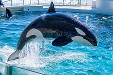 水族館・動物園