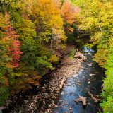 Photographed from high above, a dark river cuts through a vivid fall forest landscape, with stones and driftwood visible